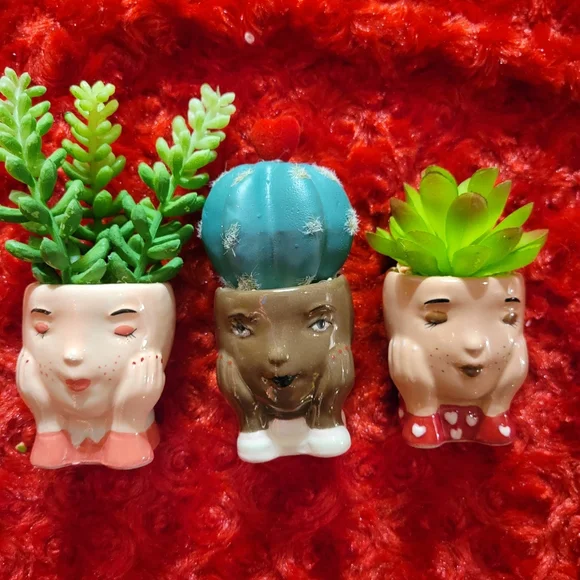 Kohl's Celebrate Together™ Valentine's Day Artificial Succulent Planter 3-pieces - Picture 7 of 16